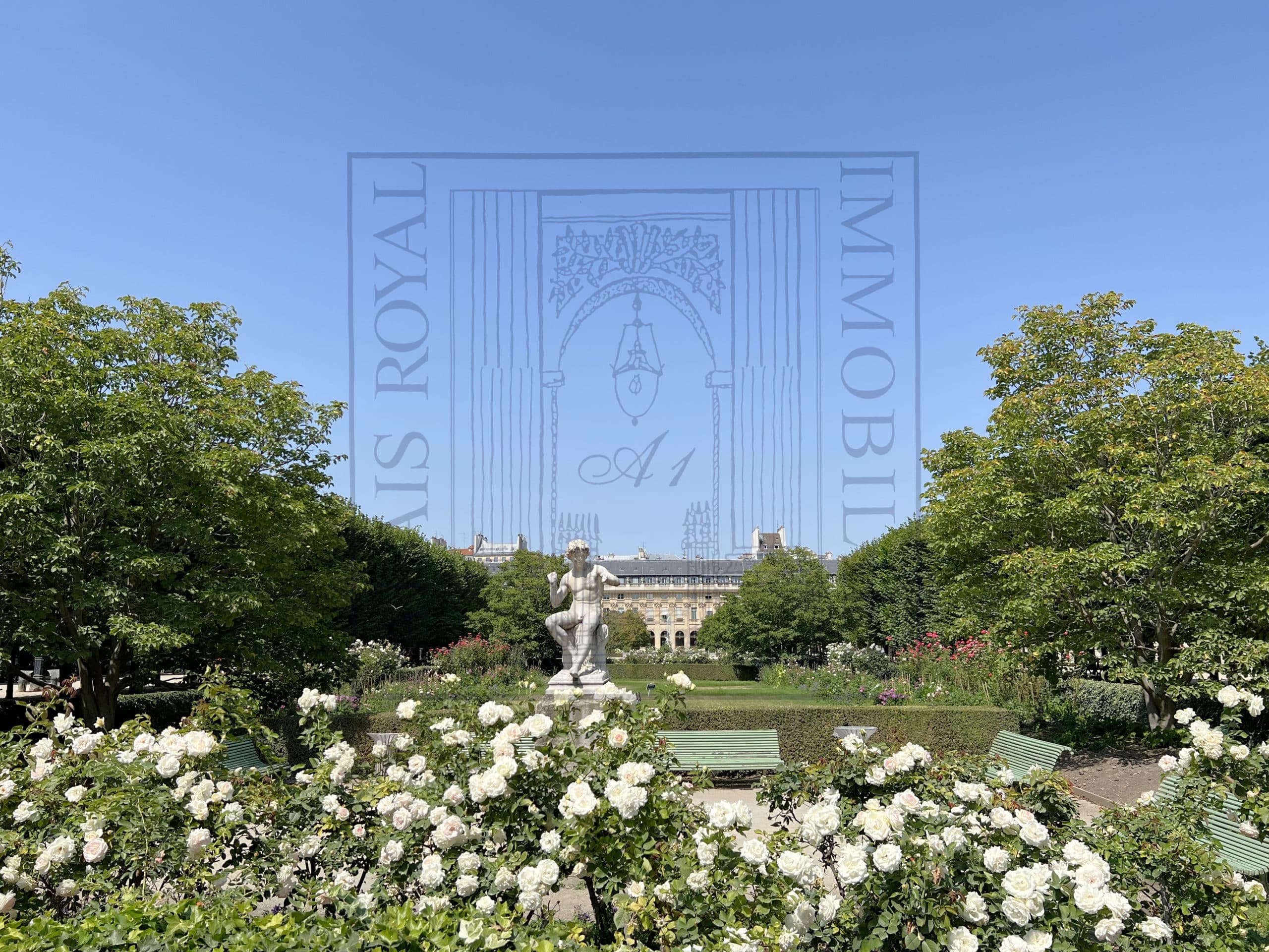 Logo de l'agence A1 Palais Royal Immobilier