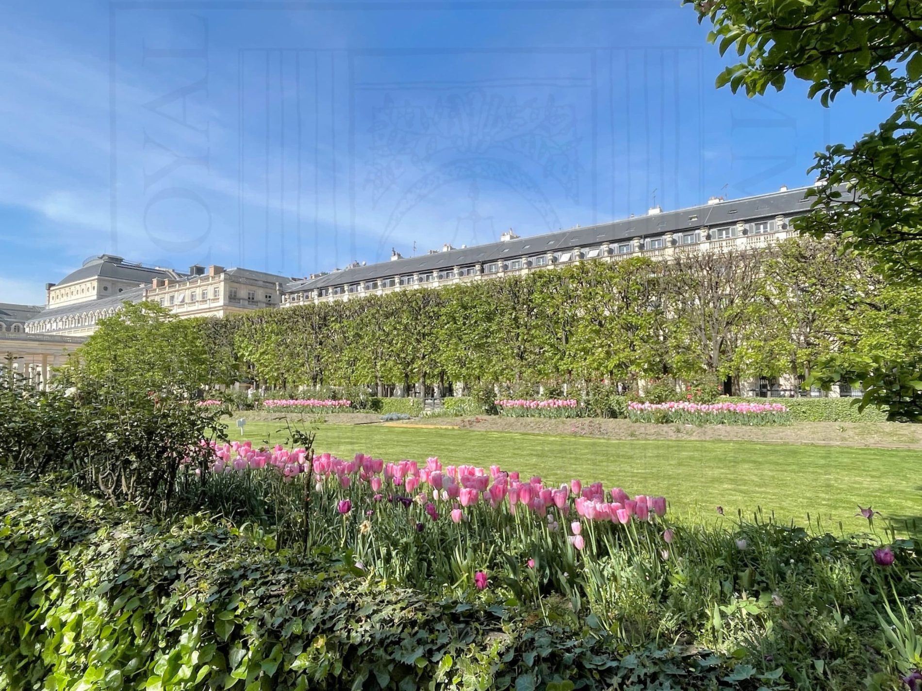 Achat - Vente - Appartement - Paris centre