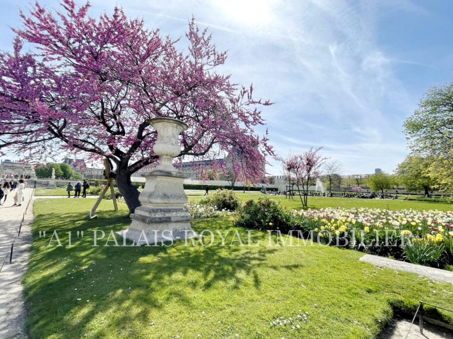 Paris 1er - Studio - Location meublée