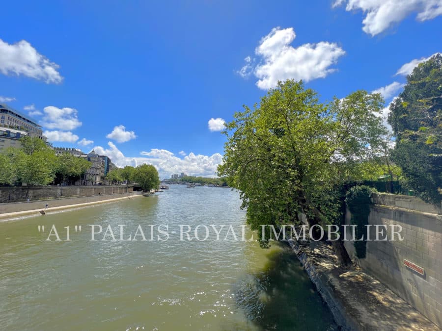 Paris 4ème - Appartement vue Seine