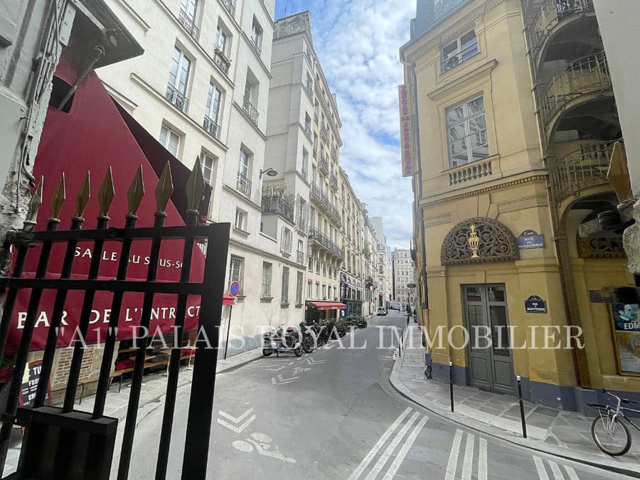 Paris 1er - Appartement d'exception - Terrasse